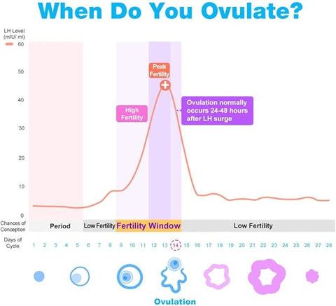 Easy@Home 25 Ovulation (LH) Urine Test Strips, 25 LH Tests